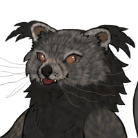 Thumbnail of ANI-4972: Binturong (F)