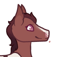 Thumbnail of ANI-4975: Domestic Horse Appaloosa (F)