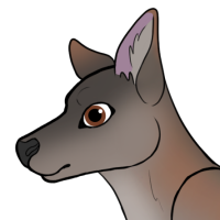 Thumbnail of ANI-4977: Red Necked Wallaby (M)