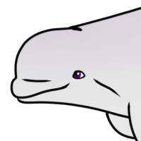 Thumbnail of ANI-4988: Beluga Whale (F)