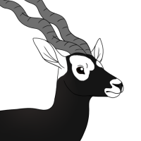Thumbnail of ANI-4998: Blackbuck (M)