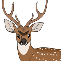 Thumbnail for ANI-5001: Samir