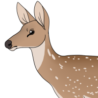 Thumbnail for ANI-5003: Tara