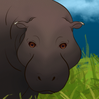 Thumbnail of ANI-5020: Pygmy Hippopotamus (M)