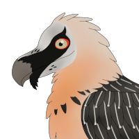 Thumbnail for ANI-5029: Bone