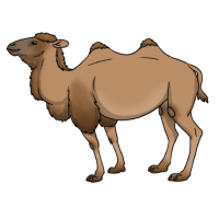 Thumbnail for ANI-5041: Velvet