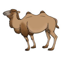 Thumbnail for ANI-5042: Chimeg