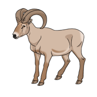 Thumbnail for ANI-5050: Dodge