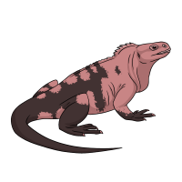 Thumbnail for ANI-5054: Pinky