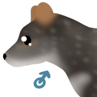 Thumbnail for ANI-5058: Darwin's Fox (M)