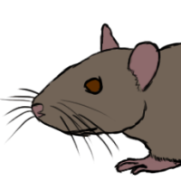 Thumbnail for ANI-5060: Chip