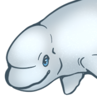 Thumbnail for ANI-5063: Ivory