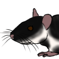 Thumbnail for ANI-5057: Que