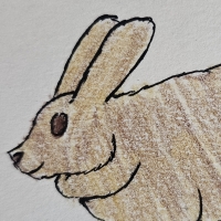 Thumbnail for ANI-5070: Wren