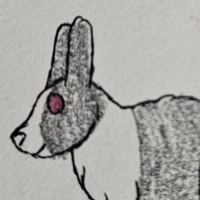 Thumbnail for ANI-5071: Dutch