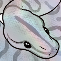 Thumbnail for ANI-5077: Rainbow Boa (F)