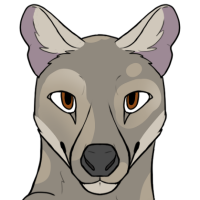 Thumbnail for ANI-5091: Dawn