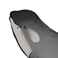 Thumbnail image for ANI-5097: Nuniq