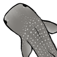 Thumbnail for ANI-5102: Howl