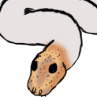 Thumbnail image for ANI-5104: Delia