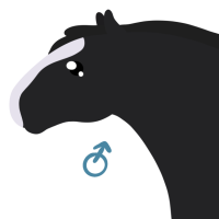 Thumbnail for ANI-5110: Domestic Horse Shire  (M)