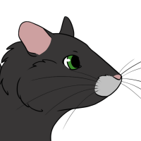 Thumbnail for ANI-5125: Scallop