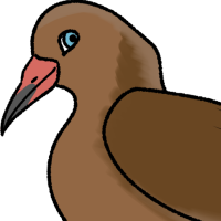 Thumbnail for ANI-5132: Caramel