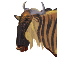 Thumbnail for ANI-5135: Blue Wildebeest White-Bearded  (M)