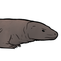 Thumbnail for ANI-5168: The Beast