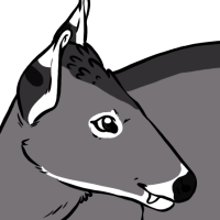 Thumbnail for ANI-5172: Jampa