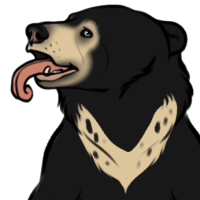 Thumbnail for ANI-5183: Sun Bear (M)