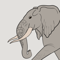 Thumbnail for ANI-1730: Ohio(M)