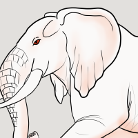 Thumbnail for ANI-3001: Winter strawberry (m)