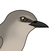 Thumbnail for ANI-5190: Minstrel