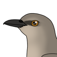 Thumbnail for ANI-5191: Bard