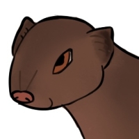 ANI-5192: Slender Mongoose (F)