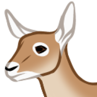 Thumbnail for ANI-5194: Daisy