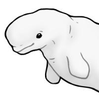 Thumbnail for ANI-5196: Bubbles