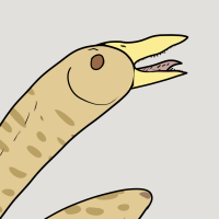 Thumbnail for ANI-3345: Banana (F)