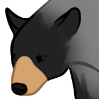 Thumbnail for ANI-5214: American Black Bear Glacier  (F)