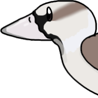 Thumbnail for ANI-5217: Verity