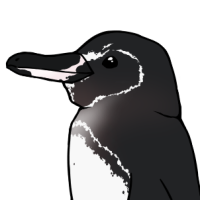 Thumbnail for ANI-5223: Galapagos Penguin (F)
