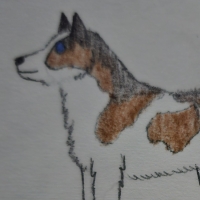 Thumbnail for ANI-5225: Piebald Dire Wolf (M)
