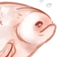 Thumbnail for ANI-5226: Giant Gourami (F)
