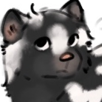 Thumbnail for ANI-5227: Pygmy Spotted Skunk (F)