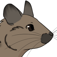 Thumbnail for ANI-5241: Small Fry