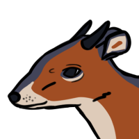 Thumbnail for ANI-5245: Red-flanked Duiker (M)