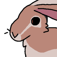 Thumbnail for ANI-5247: White-Sided Jackrabbit (F)