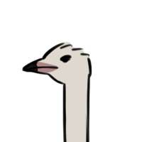 Thumbnail for ANI-5251: Common Ostrich South African  (F)