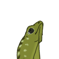 Thumbnail for ANI-5254: Mindanao Flying Dragon (F)